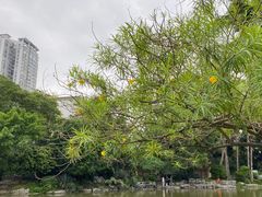 -柳侯公园