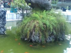 -同顺鹅庄(南华路店)