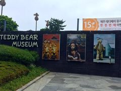 -济州岛泰迪熊博物馆