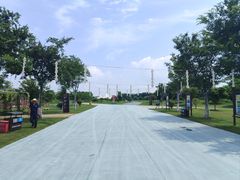 -洪湖生态旅游区