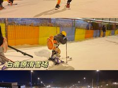 -体育场(地铁站)