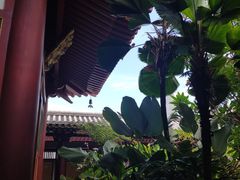 -新加坡佛牙寺龙华院