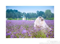 完美新娘-完美新娘婚纱摄影