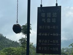 -呀诺达热带雨林