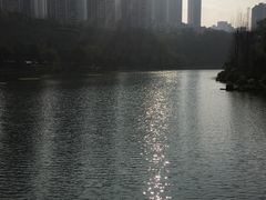 -重庆彩云湖湿地公园