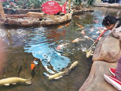 -鸿通城购物中心