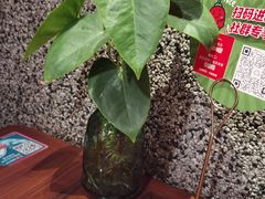 -望湘园·洞庭渔宴(浦江欢乐颂店)