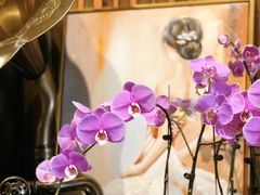 -The Flowers Coffee(南山店)