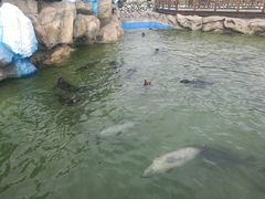 -华夏文旅海洋公园