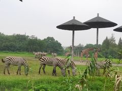 -宁波野生动物园