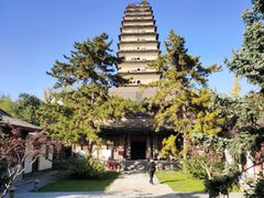-西安博物院