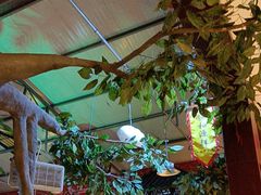 -和源祥·日照菜扛把子(万平口一店)