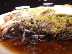 鱼头诱惑-绿茶餐厅(城西银泰城店)