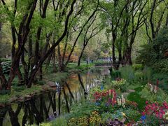 -上海共青森林公园