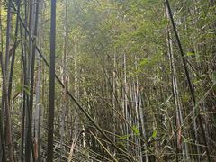 -井空里大峡谷