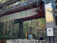 -天目湖山水园