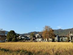 -塔川景区
