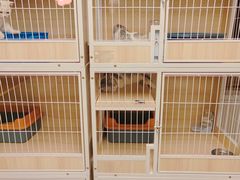 -猫宠乐园·专业洗护