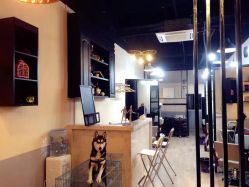 -茶发Salon·烫发染发理发