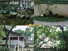 -重庆彩云湖湿地公园
