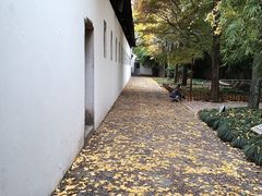 -西园戒幢律寺