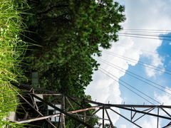 -滴水岩森林公园