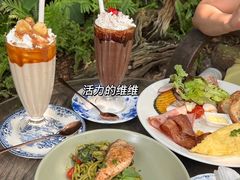 -Fern Forest Cafe