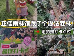 -正佳雨林生态植物园