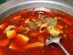 -麻田会 ·鲜活现烹·牛蛙火锅(珠江新城维家思广场店)