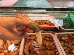 -鑫悦楼煎蟹·16年海鲜大排档