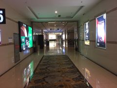 -UME影城(4DX情侣金牛店)