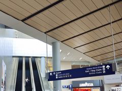 -达拉斯 沃斯堡国际机场