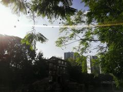 -成都市活水公园