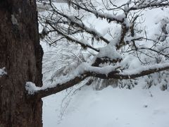 -西岭雪山大飞水景区