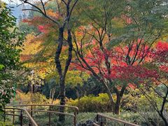 -中国茶叶博物馆(双峰馆区)