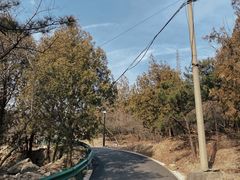 -白水寺森林公园