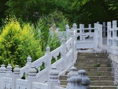 -蒙山大佛景区