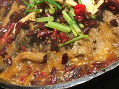 -老板恋上鱼(荣盛广场店)