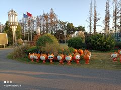 -上海长兴岛郊野公园