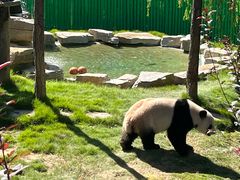 -西霞口神雕山野生动物世界