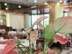 -白云中餐厅·粤菜·亚龙湾喜来登度假酒店