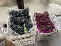 -马陆小张葡萄园农家乐