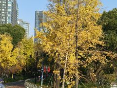 -北外滩滨江绿地