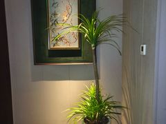 -和子足浴SPA会馆(东方之门店)