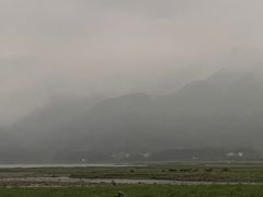-罗坑大草原