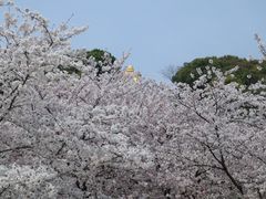 -苏州上方山国家森林公园