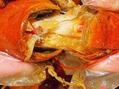 龙虾-大孩龙虾(体育场旗舰店)