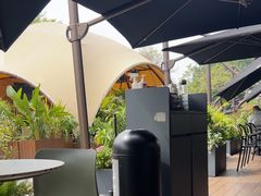 -gaga(深圳南山益田假日广场店)