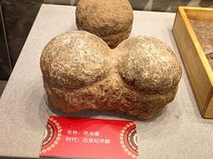 -北京周口店北京人遗址博物馆