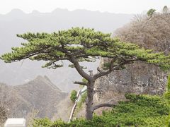 -圣莲山风景区